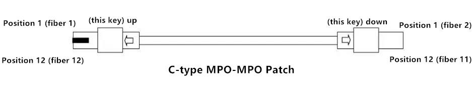 Type-C MPO-MPO Patch